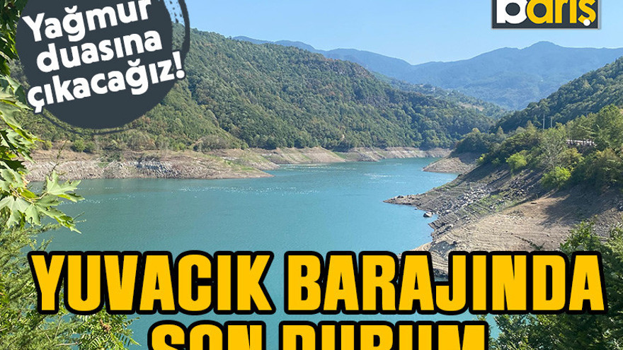 Yağmur duasına çıkacağız! Yuvacık Barajı'nda son durum