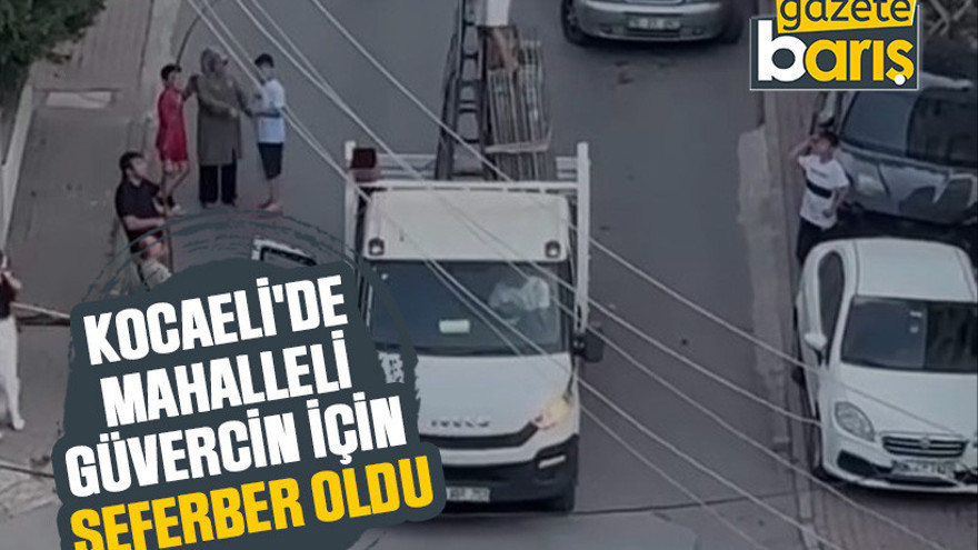 Kocaeli'de mahalleli güvercin için seferber oldu