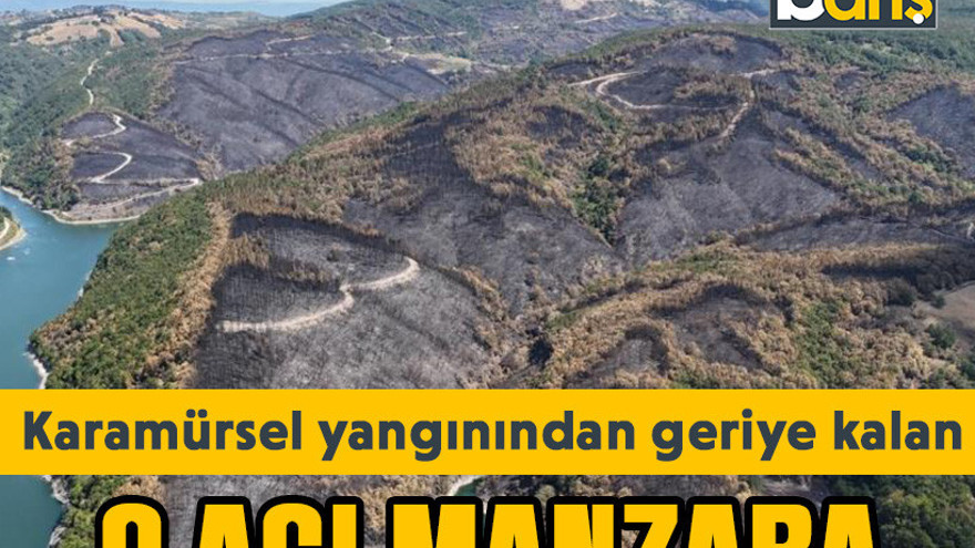 Karamürsel yangınından geriye kalan o acı manzara...