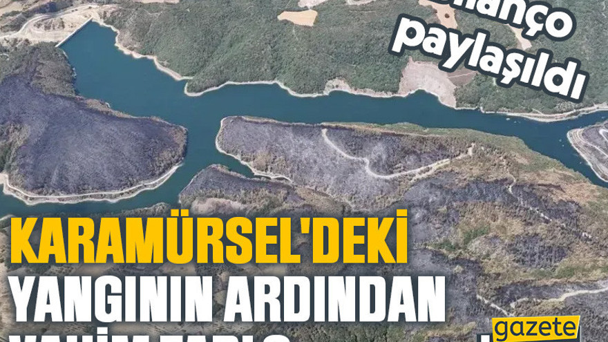 Karamürsel'deki yangının ardından vahim tablo