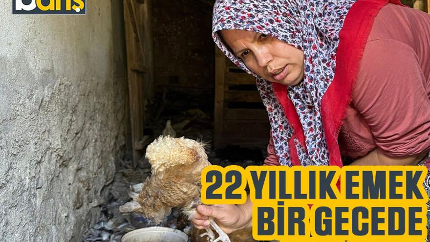 22 yıllık emek bir gecede yok oldu