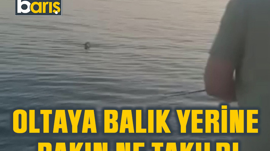 Oltaya balık yerine bakın ne takıldı