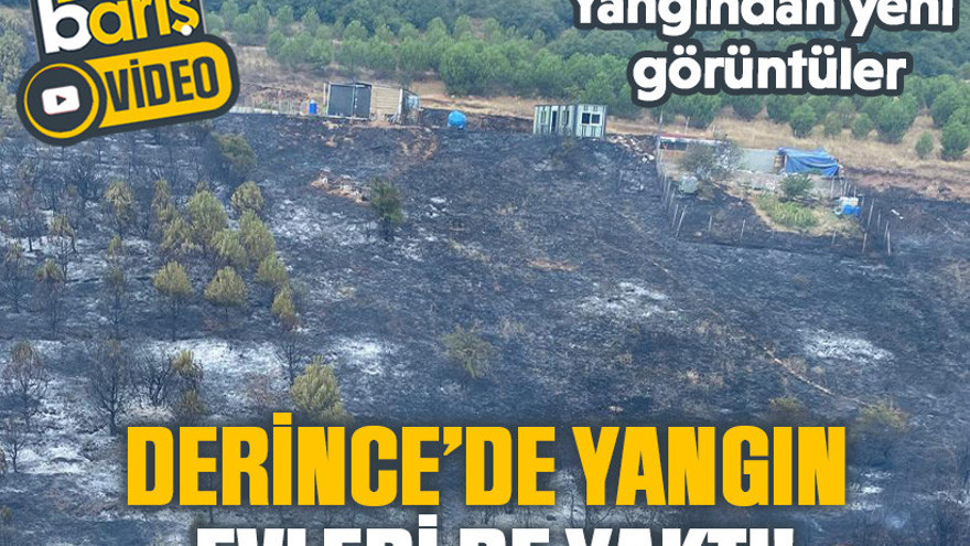 Derince’de yangın evleri de yaktı!