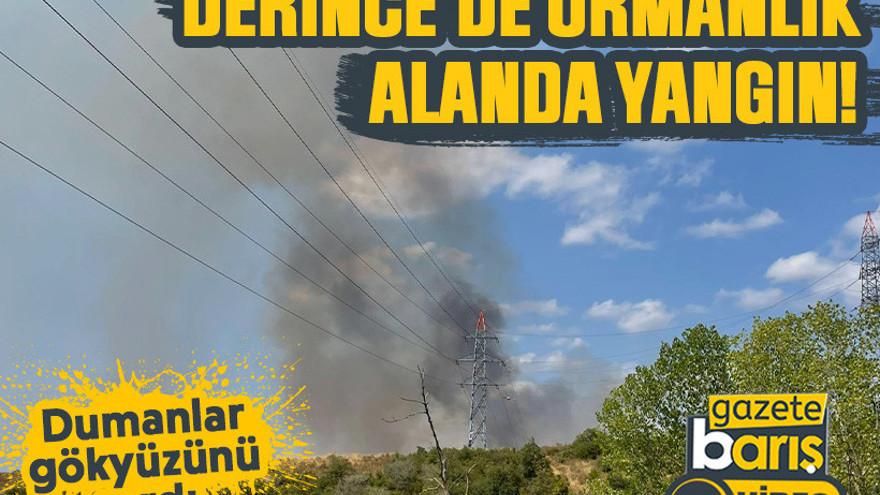Derince’de ormanlık alanda yangın! Dumanlar gökyüzünü sardı