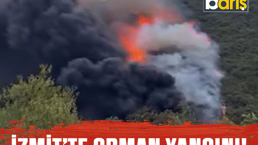 İzmit’te orman yangını!