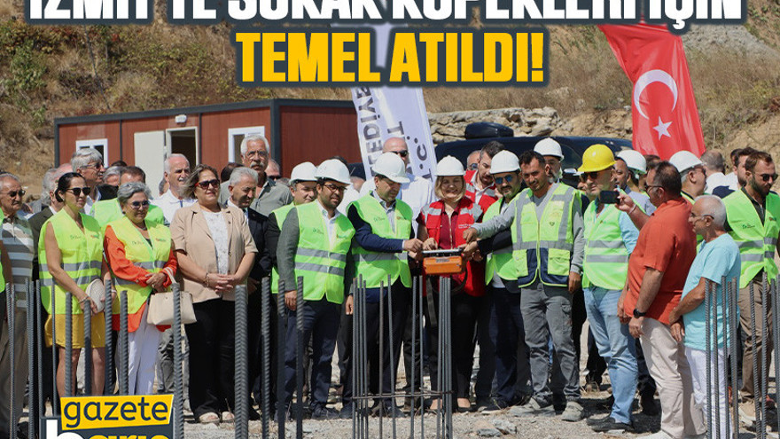 İzmit’te sokak köpekleri için temel atıldı!