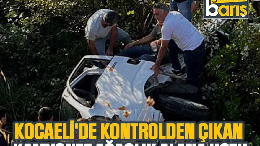 Kocaeli'de kontrolden çıkan kamyonet ağaçlık alana uçtu