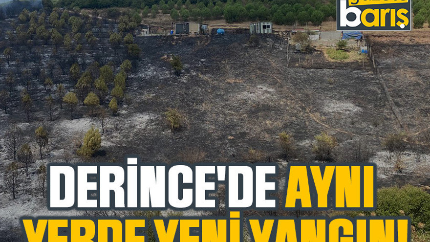 Derince'de aynı yerde yeni yangın!