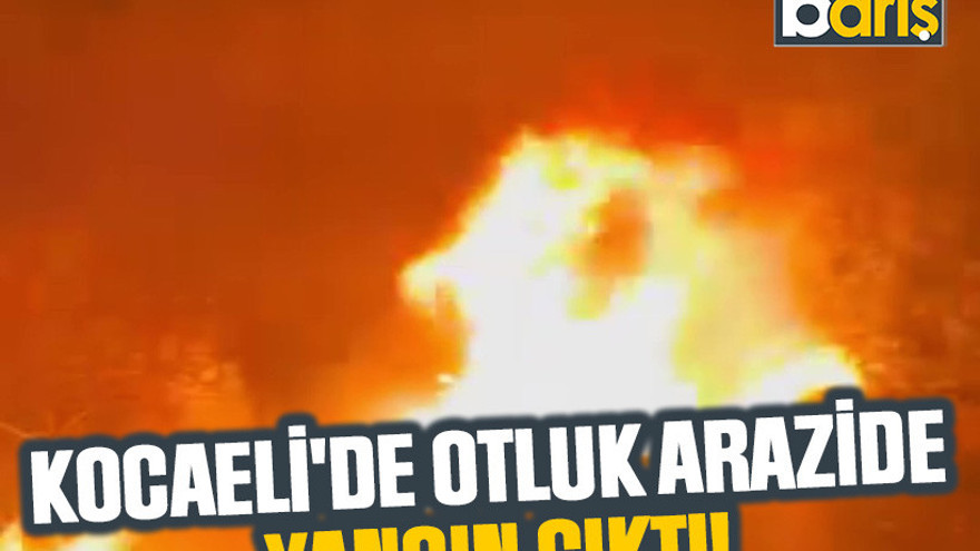 Kocaeli'de otluk arazide yangın çıktı!