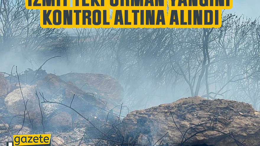 İzmit'teki orman yangını kontrol altına alındı