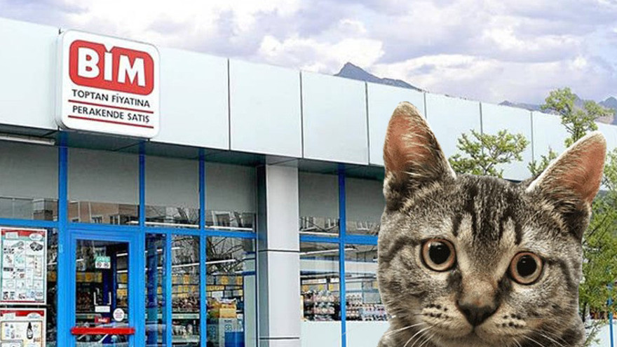 İzmit'teki BİM çalışanları kedi mi kaçırdı?