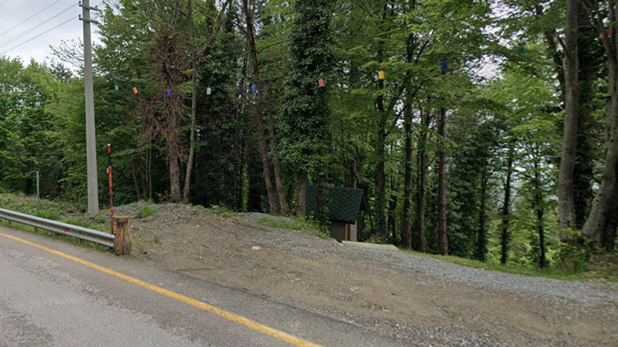 Kartepe'de orman parkını 20 yıllığına kiralayacaklar!