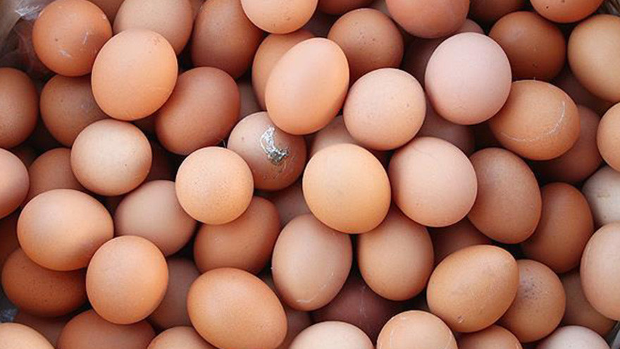 Yumurta fiyatı aldı başını gidiyor