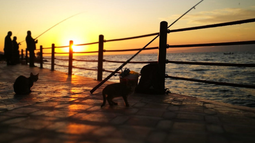 Kocaeli’ye 1 haftada 12 saat yağmur düşecek!